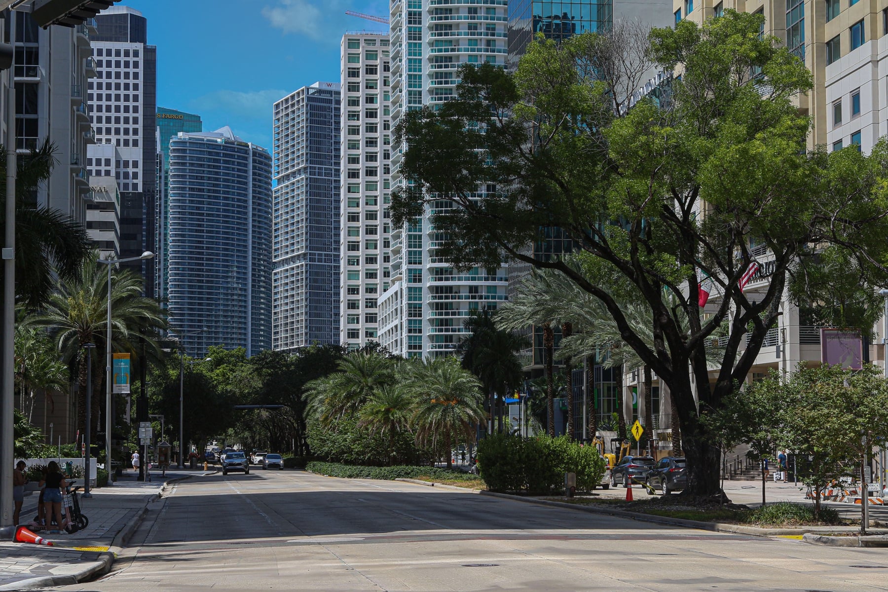 Miami business district framed by trees and contemporary buildings
